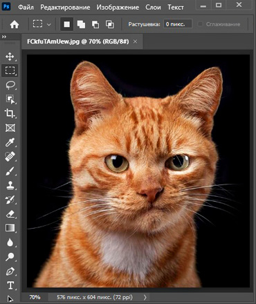 Adobe Photoshop и веб-дизайн